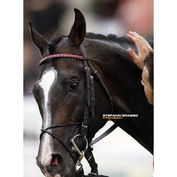 the groom thanks Senlis after the 2nd place in the Prix Paul de Moussac Chantilly, 8th june 2008 ph. Stefano Grasso