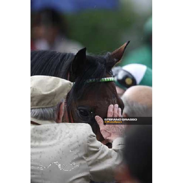 a caress for Rastignano winner of Gran Premio d\' Italia Milan San Siro, 15th june 2008 ph. Stefano Grasso