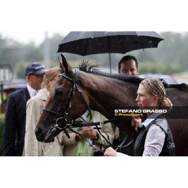 Goose Bay parades with her groom after winning the Oaks d\' Italia Milan San Siro, 15th june 2008 ph. Stefano Grasso