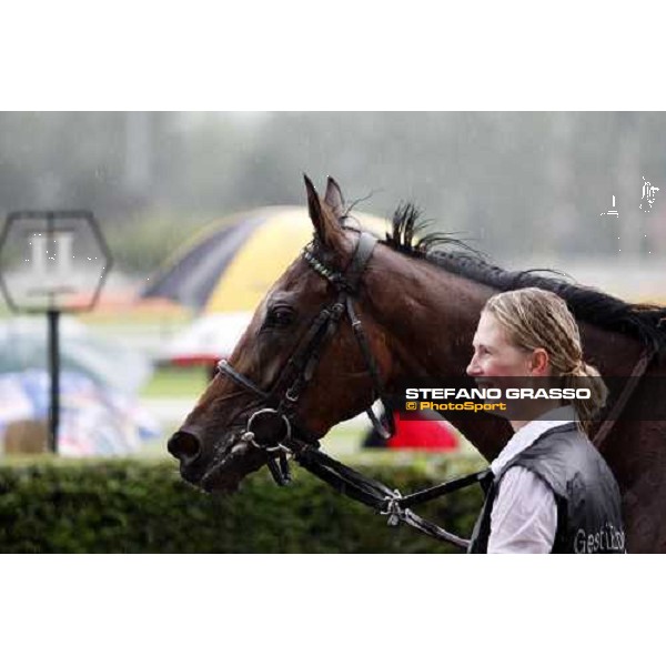 Goose Bay parades with her groom after winning the Oaks d\' Italia Milan San Siro, 15th june 2008 ph. Stefano Grasso