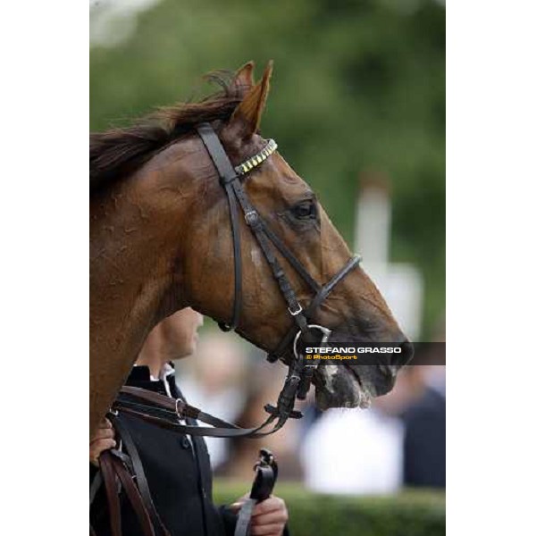 close up for Quijano after winning the Gran Premio Milano Milan San Siro, 15th june 2008 ph. Stefano Grasso
