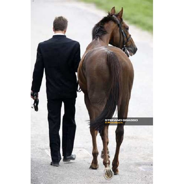 Quijano comes back to the stable after winning the Gran Premio Milano Milan San Siro, 15th june 2008 ph. Stefano Grasso