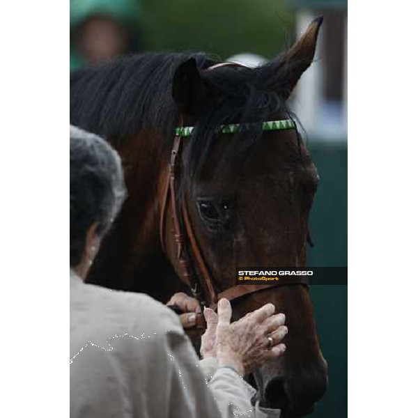 a caress for Rastignano winner of Gran Premio d\' Italia Milan San Siro, 15th june 2008 ph. Stefano Grasso