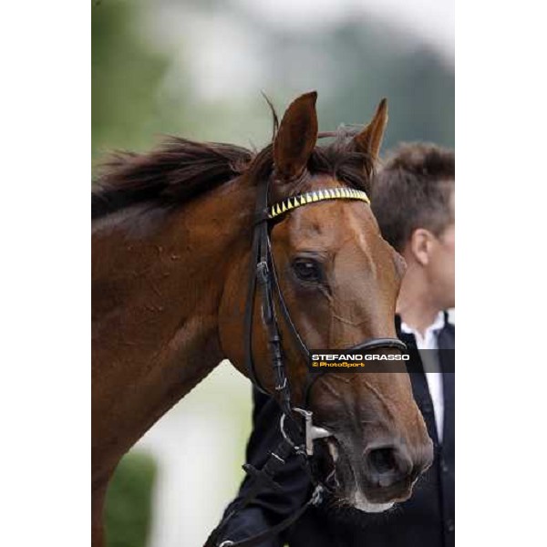 a close up for Quijano after winning the Gran Premio di Milano Milan San Siro, 15th june 2008 ph. Stefano Grasso