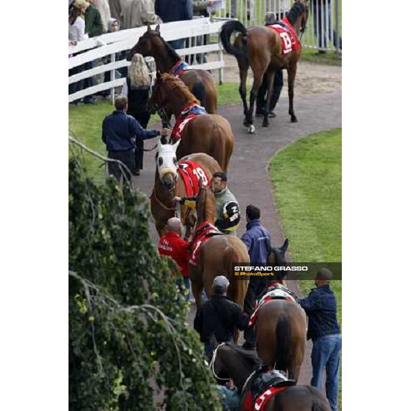 Goose Bay, 2nd from the top, parades with her gromm, before winning the Oaks d\' Italia Milan San Siro, 15th june 2008 ph. Stefano Grasso