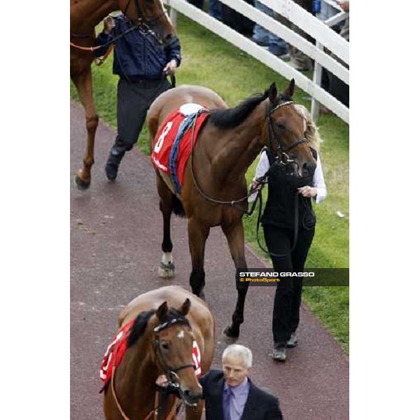Goose Bay, in the middle, parading before winning the Oaks d\' Italia Milan San Siro, 15th june 2008 ph. Stefano Grasso