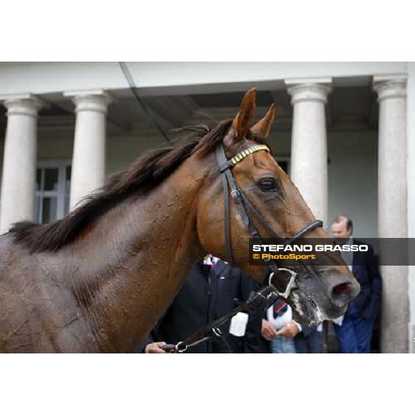 close up fo Quijano parading in the winner circle after winning the Gran Premio di Milano Milan San Siro, 15th june 2008 ph. Stefano Grasso