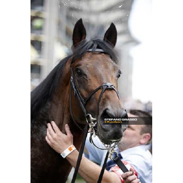 Royal Ascot -1st day - the groom congratulates with Equiano after winning the King\'s Stand Stakes Ascot, 17th june 2008 ph. Stefano Grasso