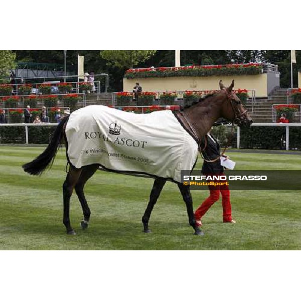 Sabana Perdida in the winner circle of the Windsor Forest Stakes Ascot, 2nd day, 18th june 2008 ph. Stefano Grasso