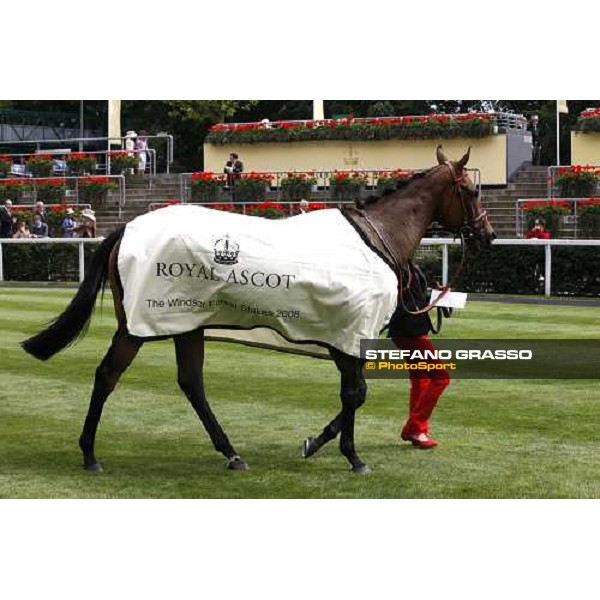 Sabana Perdida in the winner circle of the Windsor Forest Stakes Ascot, 2nd day, 18th june 2008 ph. Stefano Grasso