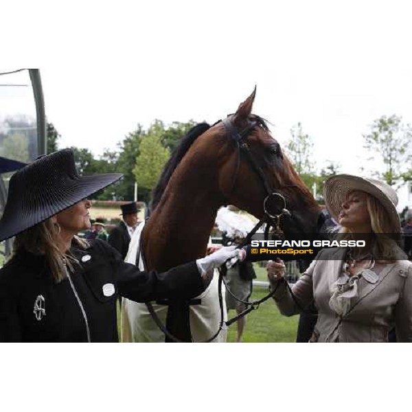 a kiss for Duke of Marmalade winner of the Prince of Wales\'s Stakes Ascot, 2nd day, 18th june 2008 ph. Stefano Grasso
