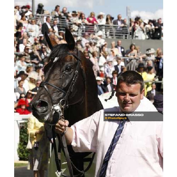 close up for Yeats with his groom after winning the Gold Cup Ascot, 19th june 2008 ph. Stefano Grasso