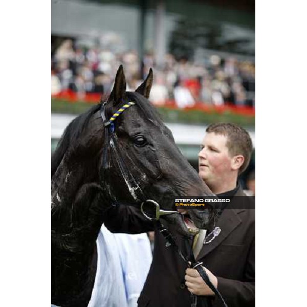 Royal Ascot - 5th day - a close up for the winner of the Golden Jubilee Stakes, Kingsgate Native Ascot, 20th june 2008 ph. Stefano Grasso
