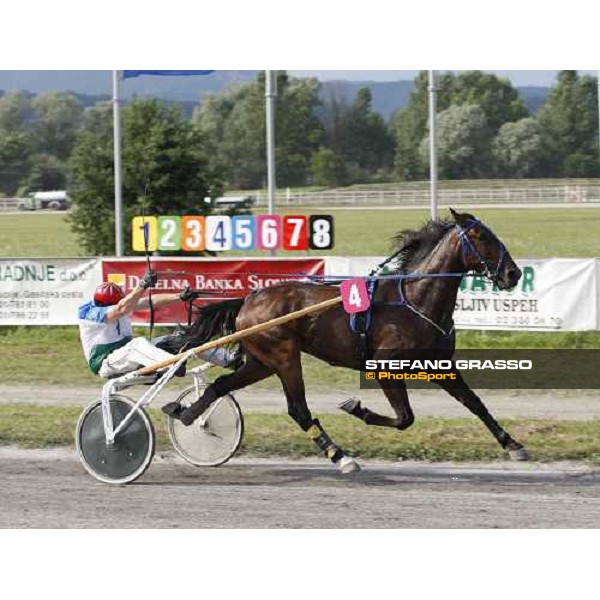Khavizov Dinar with Angel Sirrius wins he slovenian leg of Mediterranean Trotting Championship 2008 Ljubljana, 6th july 2008 ph. Stefano Grasso