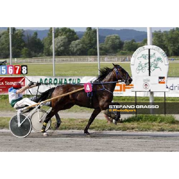 Khavizov Dinar with Angel Sirrius wins the slovenian leg of Mediterranean Trotting Championship 2008 Ljubljana, 6th july 2008 ph. Stefano Grasso