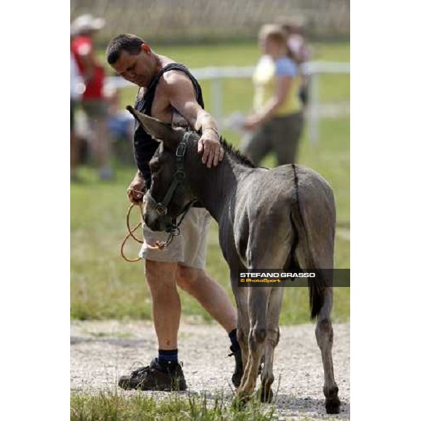 racing at Ljubljana racecourse Ljubljana, 6th july 2008 ph. Stefano Grasso