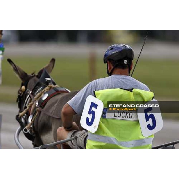 racing at Ljubljana racecourse Ljubljana, 6th july 2008 ph. Stefano Grasso