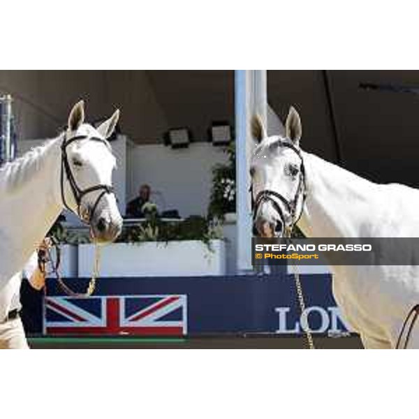 LGCT of London - Vet check - Paola 233 and Manodie II H - London, , 2 August 2018 - ph.Stefano Grasso/LGCT