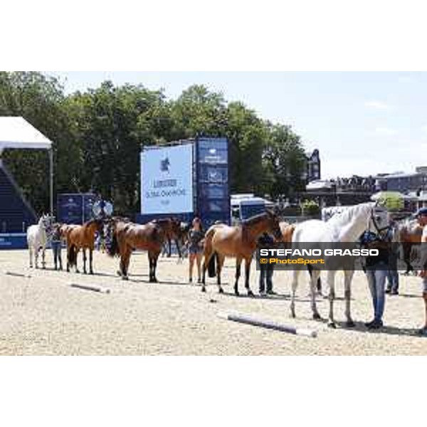 LGCT of London - Vet check - London, , 2 August 2018 - ph.Stefano Grasso/LGCT