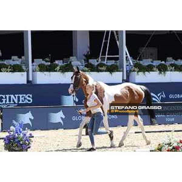 LGCT of London - Vet check - Copabella Vegas - London, , 2 August 2018 - ph.Stefano Grasso/LGCT
