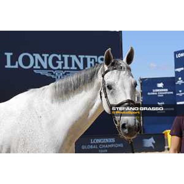 LGCT of London - Vet check - Cynar VA - London, , 2 August 2018 - ph.Stefano Grasso/LGCT