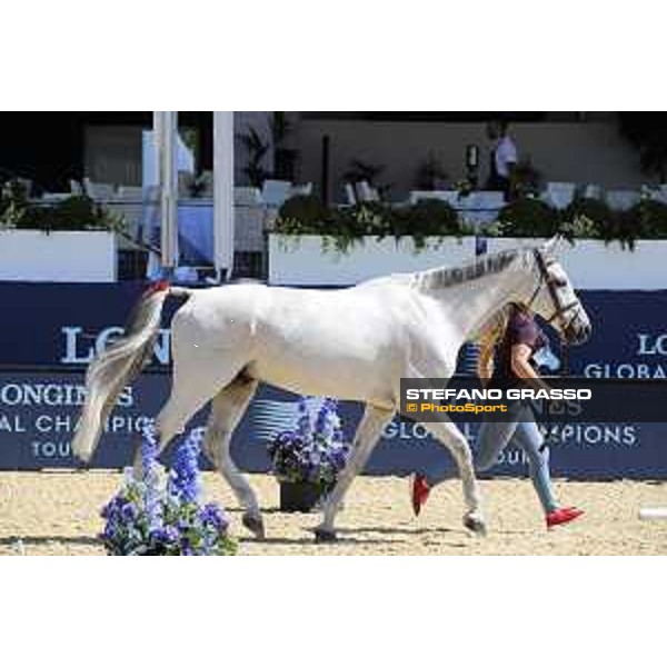 LGCT of London - Vet check - Cynar VA - London, , 2 August 2018 - ph.Stefano Grasso/LGCT