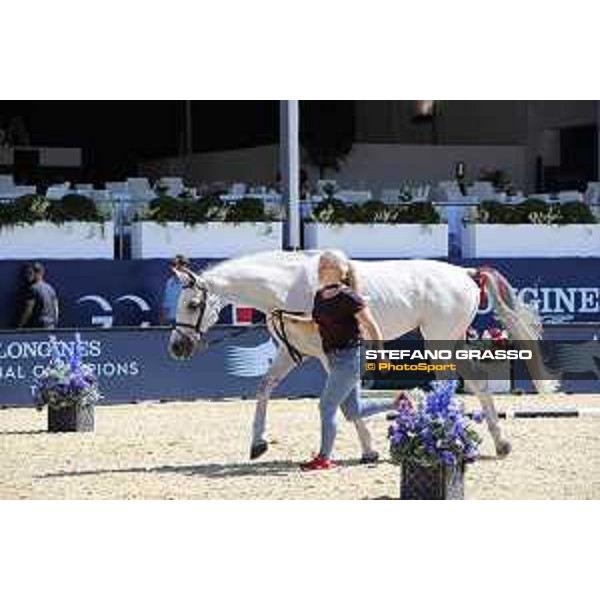 LGCT of London - Vet check - Cynar VA - London, , 2 August 2018 - ph.Stefano Grasso/LGCT