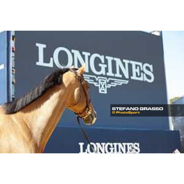 LGCT of London - Vet check - Hello Jefferson - London, , 2 August 2018 - ph.Stefano Grasso/LGCT