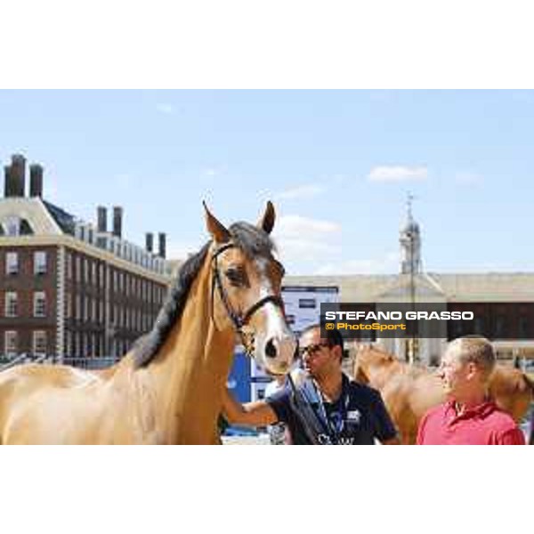 LGCT of London - Vet check - Hello Jefferson - London, , 2 August 2018 - ph.Stefano Grasso/LGCT