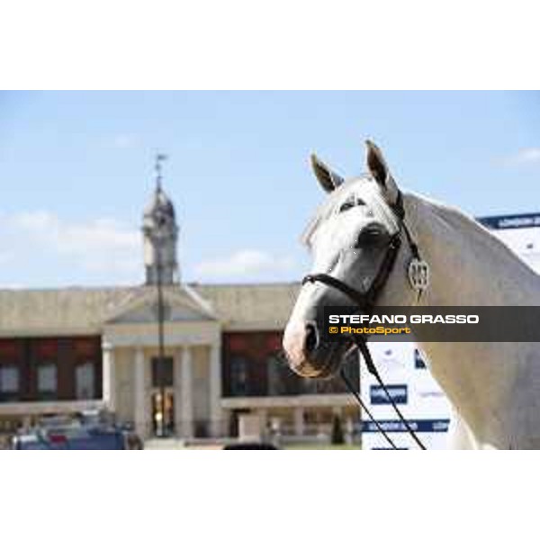 LGCT of London - Vet check - Alicante - London, , 2 August 2018 - ph.Stefano Grasso/LGCT