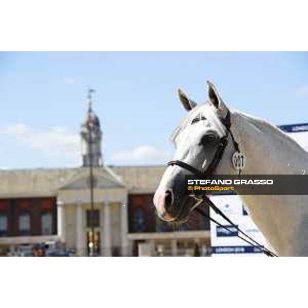 LGCT of London - Vet check - Alicante - London, , 2 August 2018 - ph.Stefano Grasso/LGCT