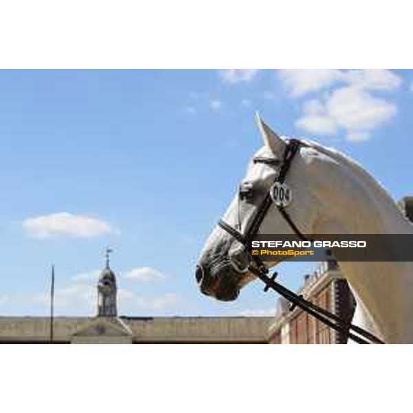 LGCT of London - Vet check - Hector van d\'Abdijhoeve - London, , 2 August 2018 - ph.Stefano Grasso/LGCT
