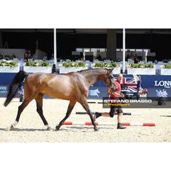 LGCT of London - Vet check - Hello Mr President - London, , 2 August 2018 - ph.Stefano Grasso/LGCT