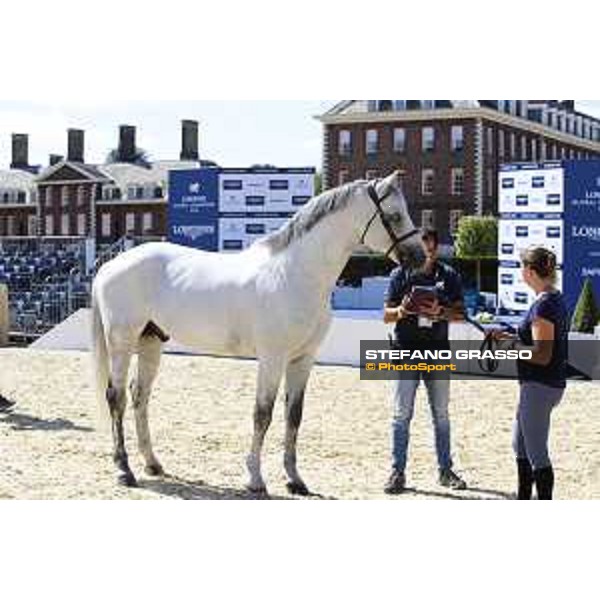 LGCT of London - Vet check - Caribis Z - London, , 2 August 2018 - ph.Stefano Grasso/LGCT