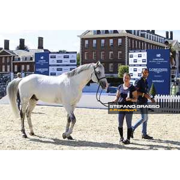 LGCT of London - Vet check - Caribis Z - London, , 2 August 2018 - ph.Stefano Grasso/LGCT