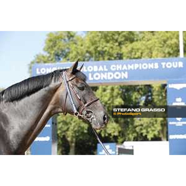 LGCT of London - Vet check - Argento - London, , 2 August 2018 - ph.Stefano Grasso/LGCT