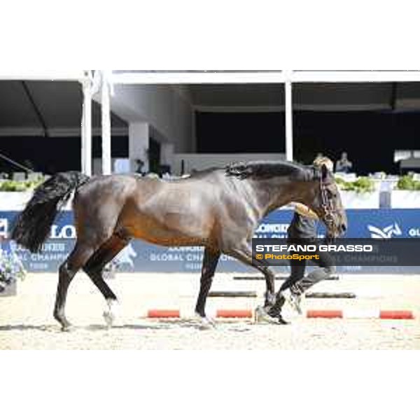 LGCT of London - Vet check - Argento - London, , 2 August 2018 - ph.Stefano Grasso/LGCT