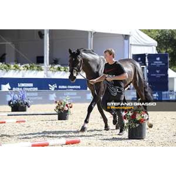 LGCT of London - Vet check - Argento - London, , 2 August 2018 - ph.Stefano Grasso/LGCT