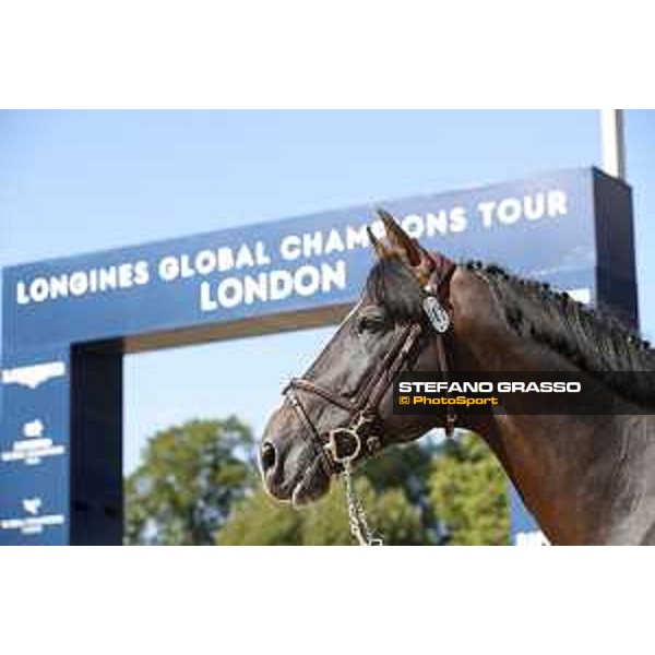 LGCT of London - Vet check - Chilli Willi - London, , 2 August 2018 - ph.Stefano Grasso/LGCT