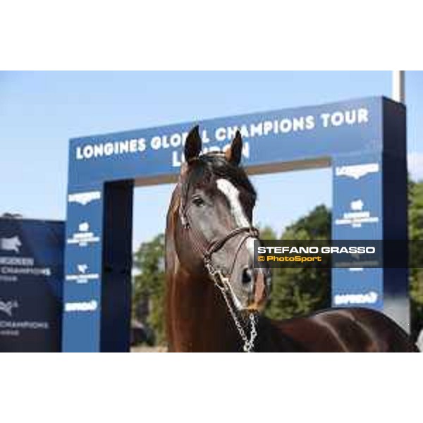 LGCT of London - Vet check - Chilli Willi - London, , 2 August 2018 - ph.Stefano Grasso/LGCT