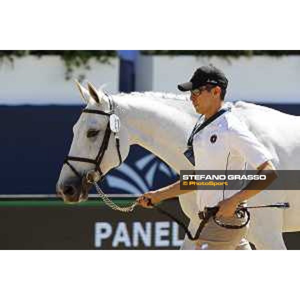 LGCT of London - Vet check - Manodie II H - London, , 2 August 2018 - ph.Stefano Grasso/LGCT