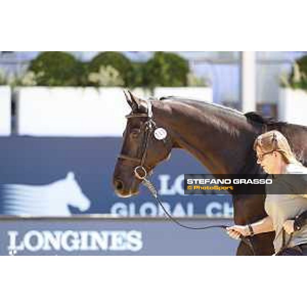 LGCT of London - Vet check - Cornetto K - London, , 2 August 2018 - ph.Stefano Grasso/LGCT