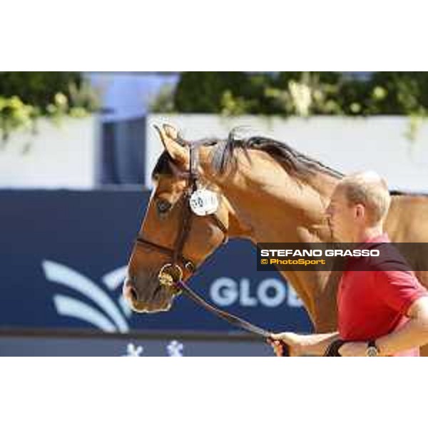 LGCT of London - Vet check - Hello Jefferson - London, , 2 August 2018 - ph.Stefano Grasso/LGCT