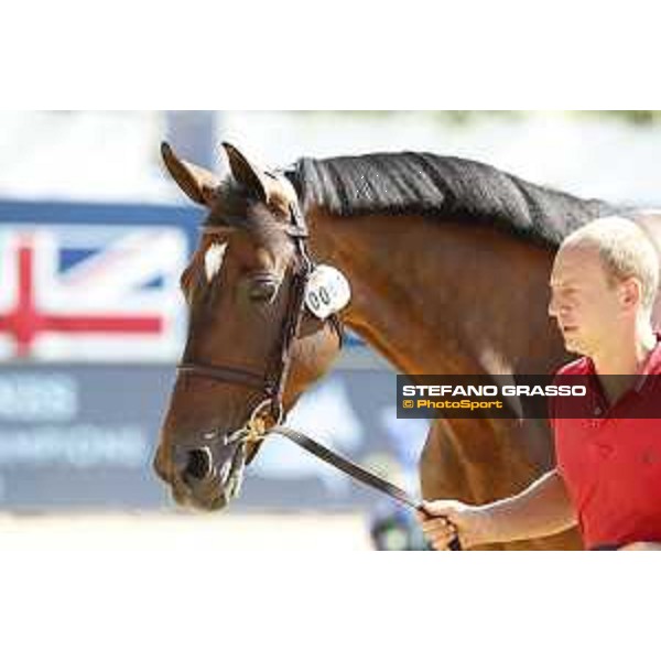 LGCT of London - Vet check - Hello Mr President - London, , 2 August 2018 - ph.Stefano Grasso/LGCT