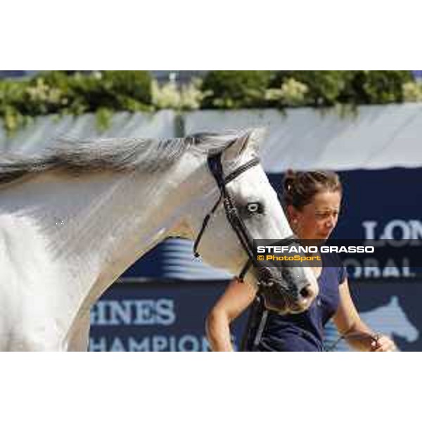 LGCT of London - Vet check - Caribis Z - London, , 2 August 2018 - ph.Stefano Grasso/LGCT