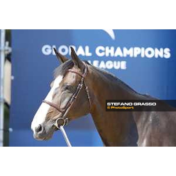 LGCT of London - Vet check - Idi Utopia - London, , 2 August 2018 - ph.Stefano Grasso/LGCT