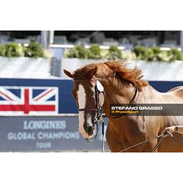 LGCT of London - Vet check - Halifax van het Kluizebos - London, , 2 August 2018 - ph.Stefano Grasso/LGCT