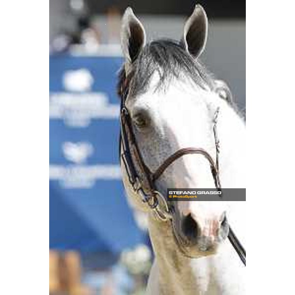 LGCT of London - Vet check - Cassinis Chaplin - London, , 2 August 2018 - ph.Stefano Grasso/LGCT