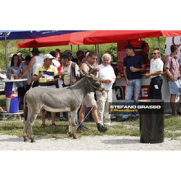 racing at Ljubljana racecourse Ljubljana, 6th july 2008 ph. Stefano Grasso
