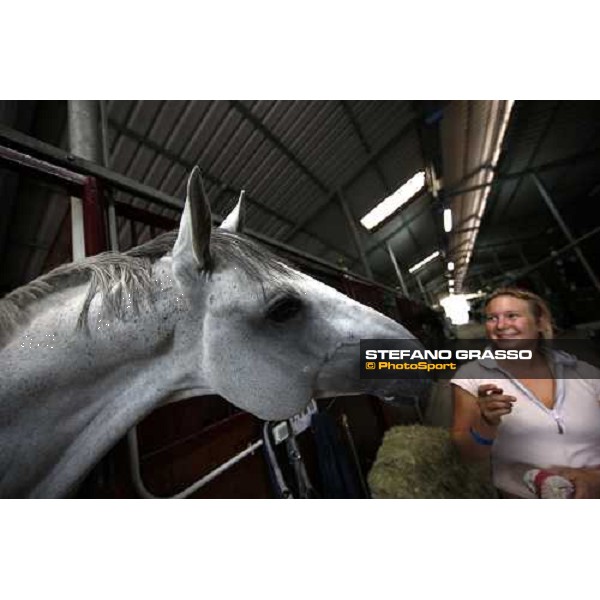 Nadir di Sanpatrignano playing with his groom at San Patrignano San Patrignano, 18th july 2008 ph. Stefano Grasso